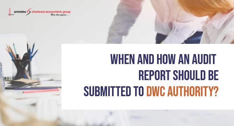 auditors in dwc