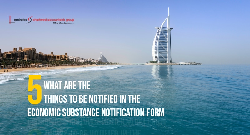 Economic substance notification form