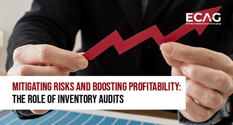 inventory audit in uae